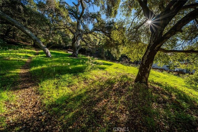 2151 San Luis Dr, San Luis Obispo, CA 93401