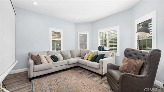 living room with plenty of natural light, baseboards, and wood finished floors