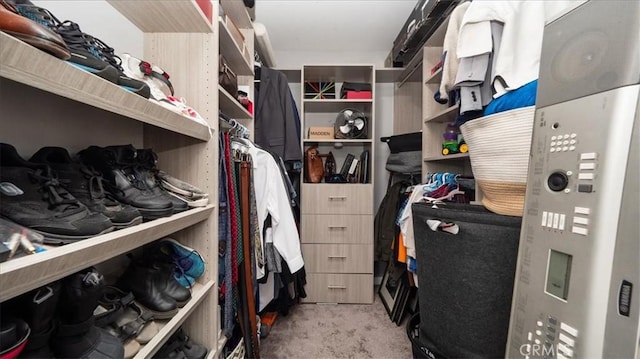 spacious closet with light carpet