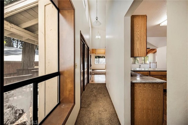 hallway featuring plenty of natural light and dark carpet