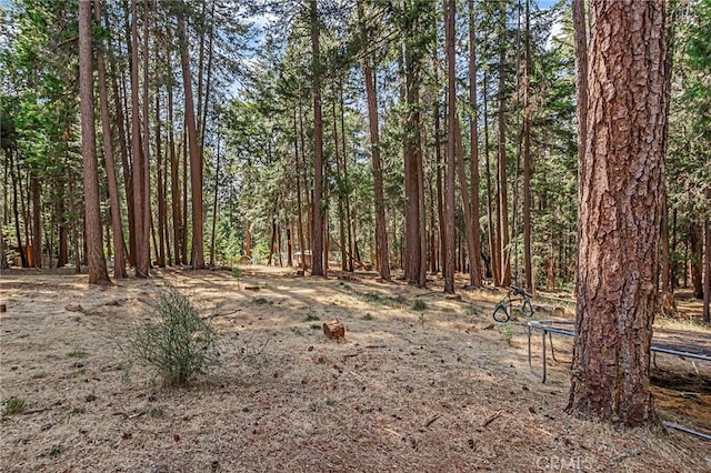 view of local wilderness