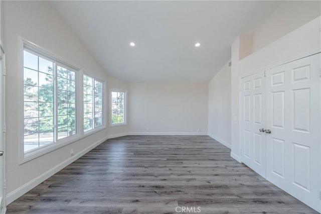 interior space with lofted ceiling and dark hardwood / wood-style flooring