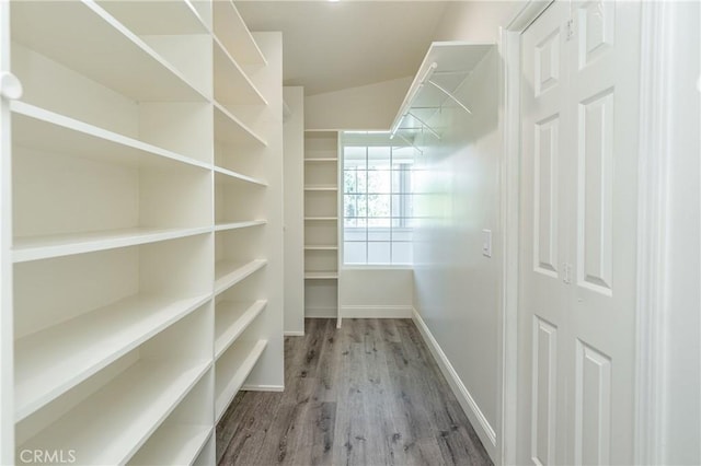 spacious closet with hardwood / wood-style flooring