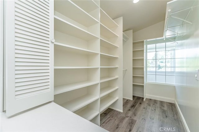 walk in closet featuring wood-type flooring