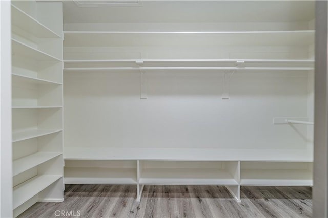 walk in closet featuring hardwood / wood-style flooring