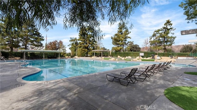 view of pool featuring a patio