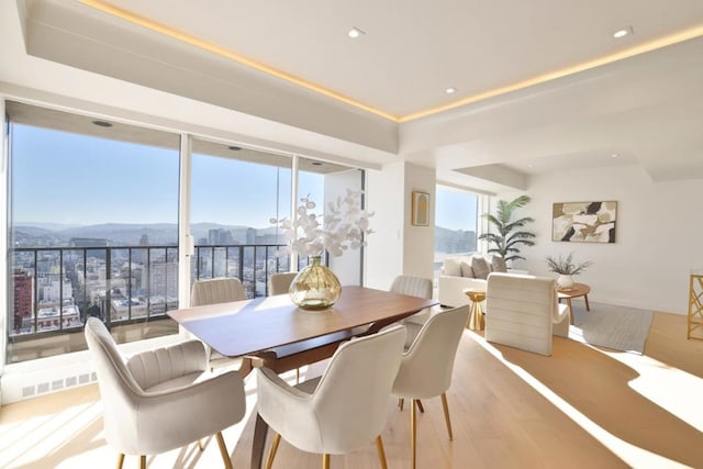 dining area with a healthy amount of sunlight, a mountain view, and light wood-type flooring