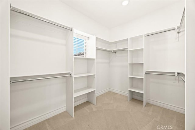 walk in closet with light carpet