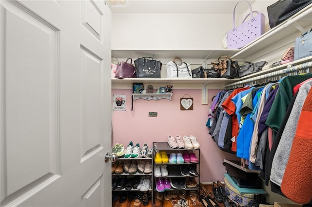 view of walk in closet