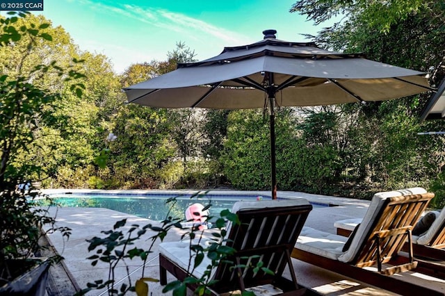 view of pool featuring a patio area