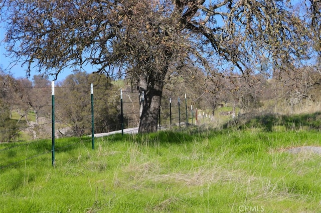 view of local wilderness