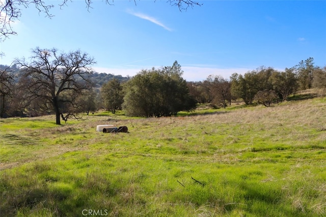 view of local wilderness featuring a rural view