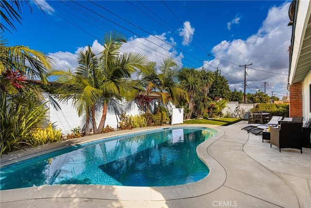 view of pool with a patio