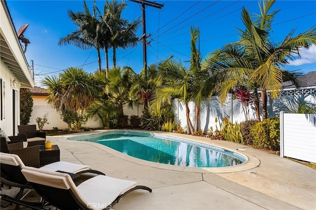 view of pool with a patio area