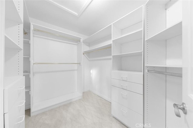 walk in closet featuring light carpet