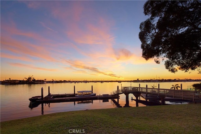 dock area with a yard and a water view