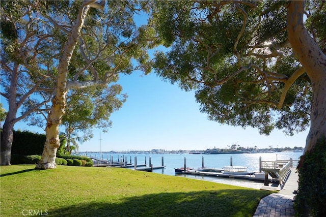 view of dock featuring a yard and a water view