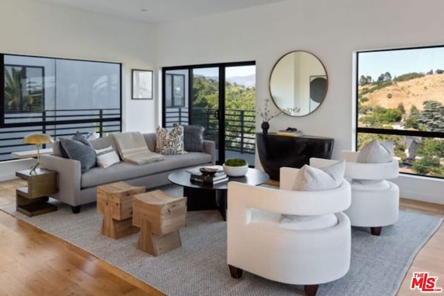 living room featuring light hardwood / wood-style flooring and plenty of natural light