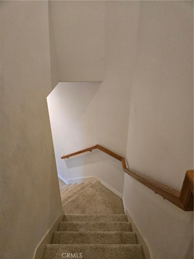 stairway featuring carpet flooring