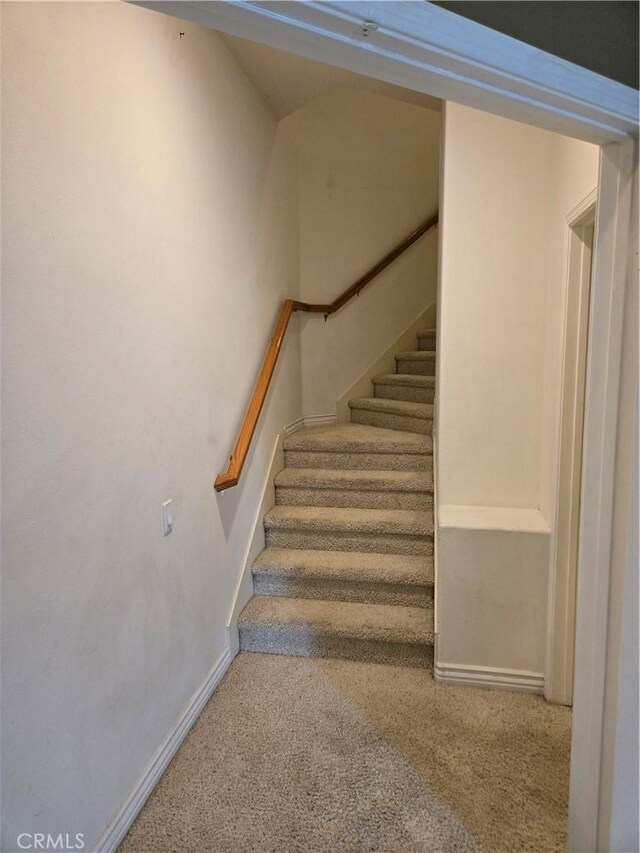 staircase featuring carpet floors