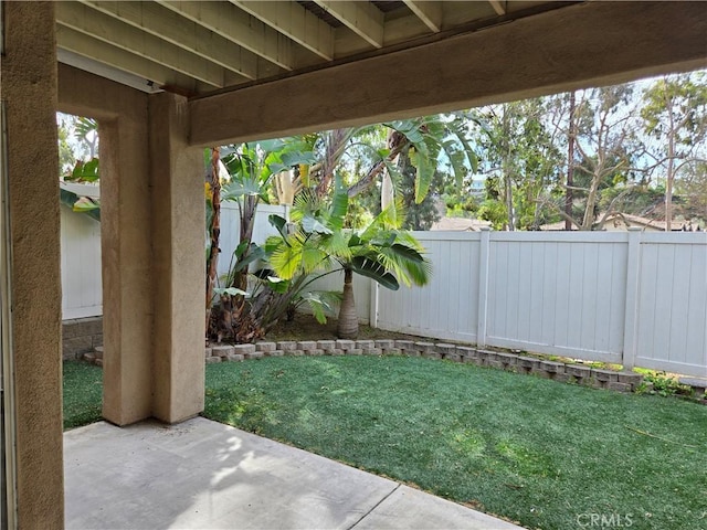 view of yard featuring a patio