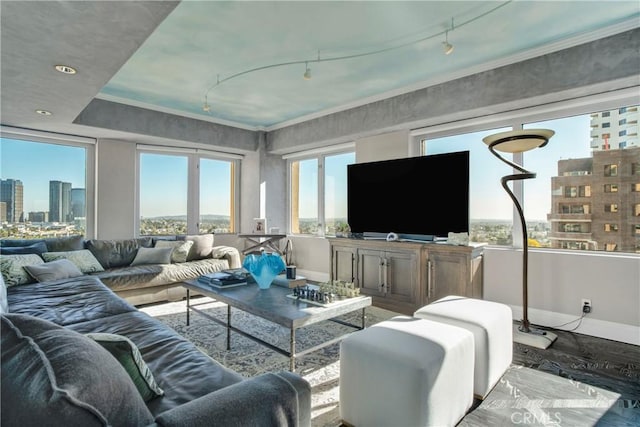 living room featuring crown molding and track lighting