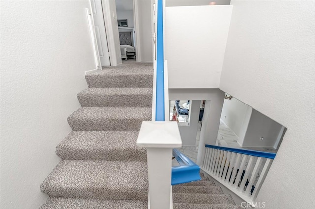 stairs featuring carpet floors