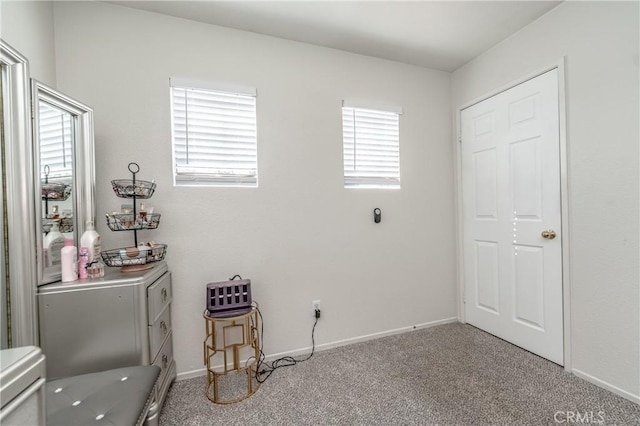 laundry area with light carpet