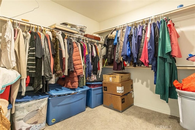 walk in closet with carpet