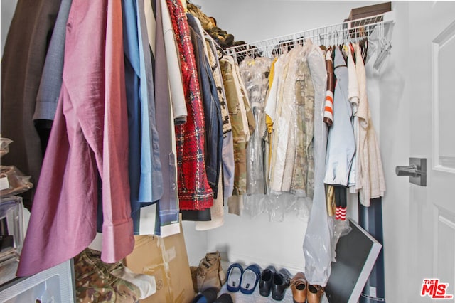 view of spacious closet