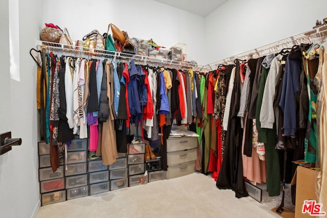 spacious closet featuring carpet