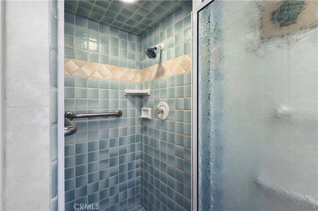 bathroom featuring a shower with shower door