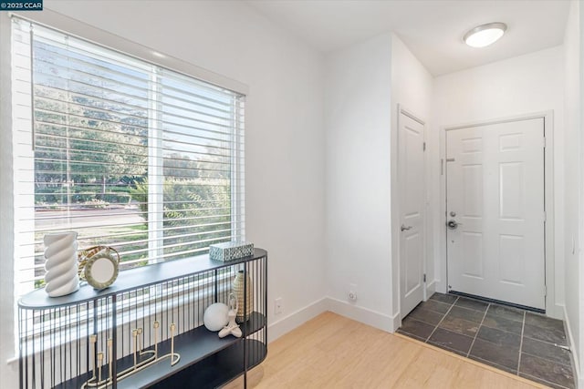 entryway with wood-type flooring