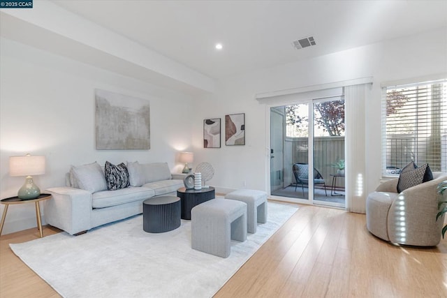 living room with hardwood / wood-style flooring