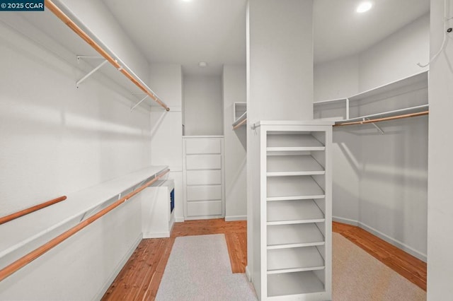 spacious closet featuring light hardwood / wood-style flooring