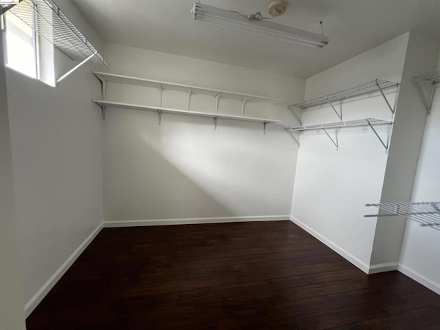 walk in closet with dark hardwood / wood-style floors