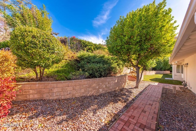 view of yard featuring a patio area