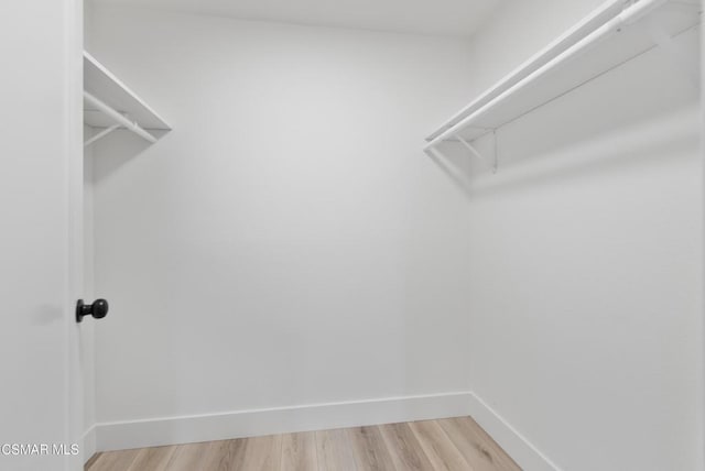 walk in closet with wood-type flooring