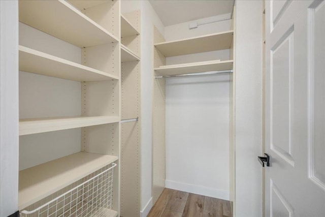 spacious closet featuring light hardwood / wood-style flooring