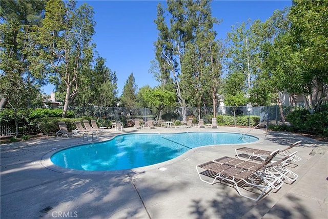 view of swimming pool with a patio area