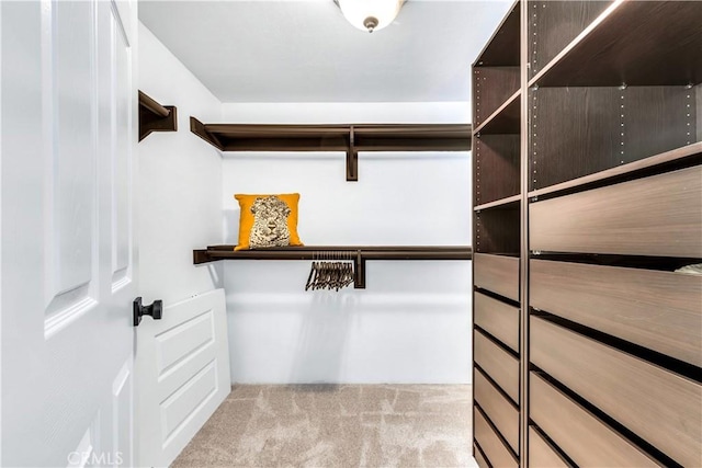 walk in closet featuring light colored carpet