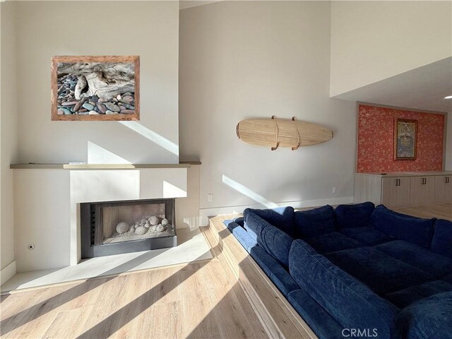 living room featuring wood-type flooring