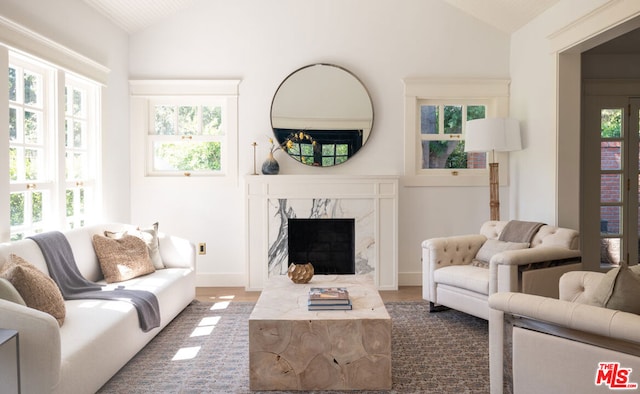 living room featuring lofted ceiling, dark hardwood / wood-style flooring, and a premium fireplace