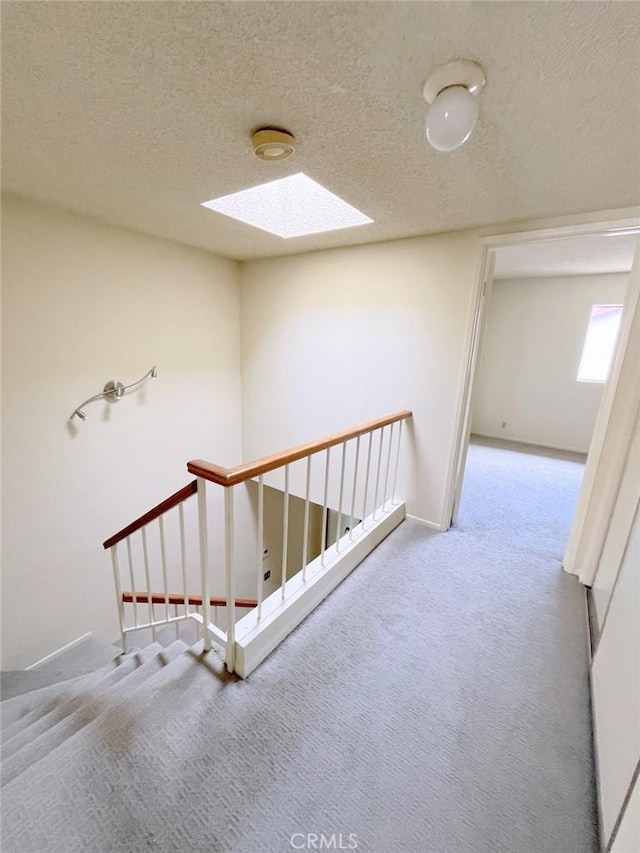 staircase with carpet, a textured ceiling, and a skylight