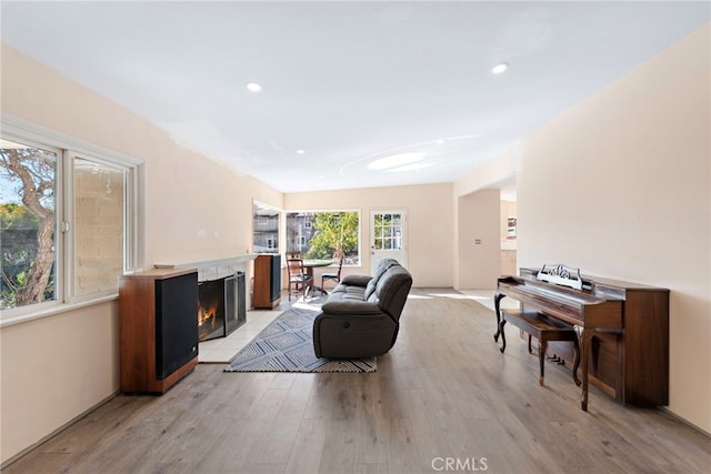 living room featuring light hardwood / wood-style floors