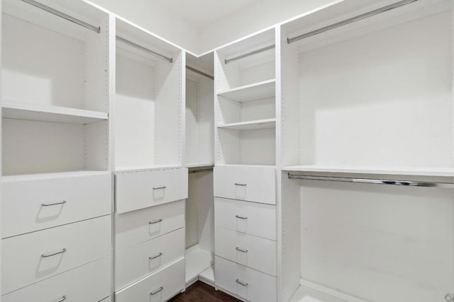 view of walk in closet