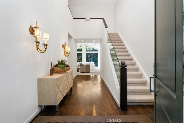 foyer entrance with dark hardwood / wood-style floors