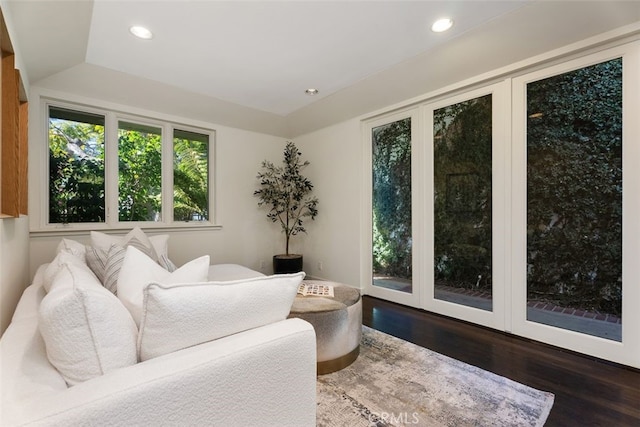 living area with dark wood-type flooring