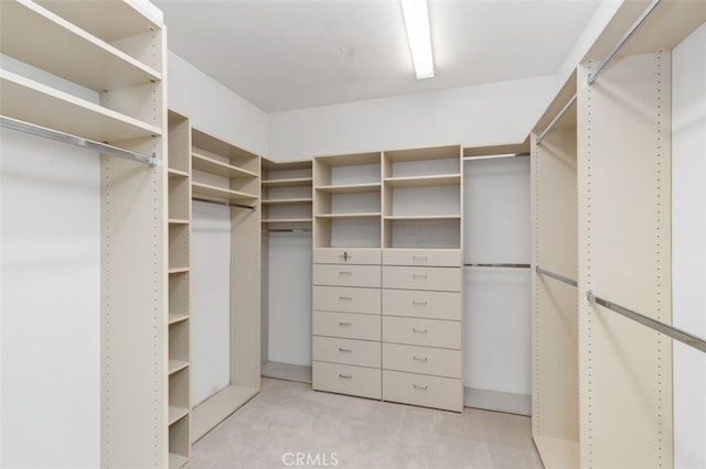 walk in closet with light carpet