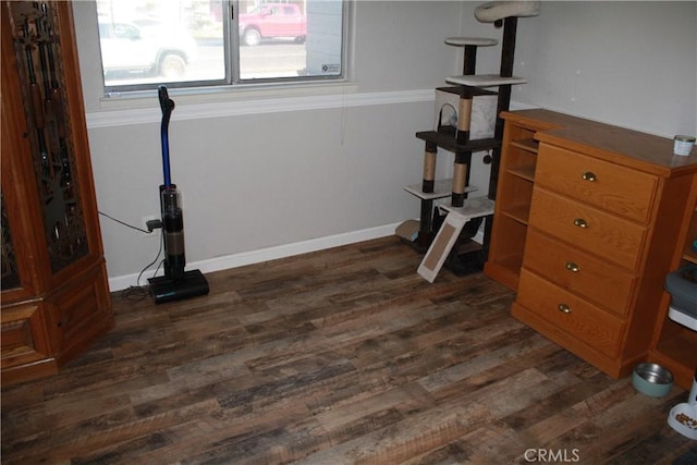 interior space with dark wood-type flooring